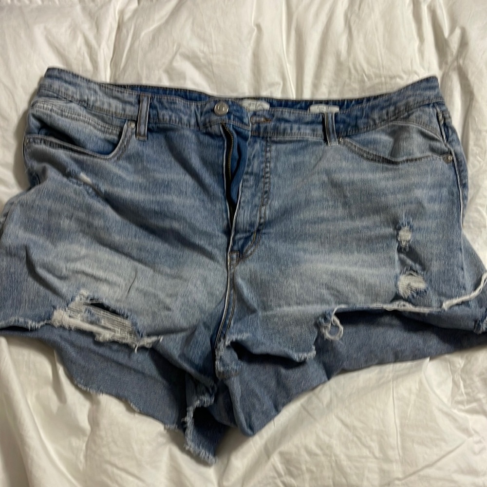 Sofia jeans distressed shorts